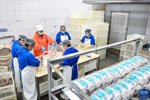 崔玉梅 從農(nóng)家女到勞動(dòng)模范的紡織服裝與日用品銷(xiāo)售之路